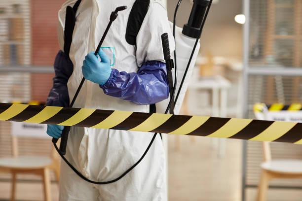 Professional Hoarding Cleanup technician working in Acton, ME